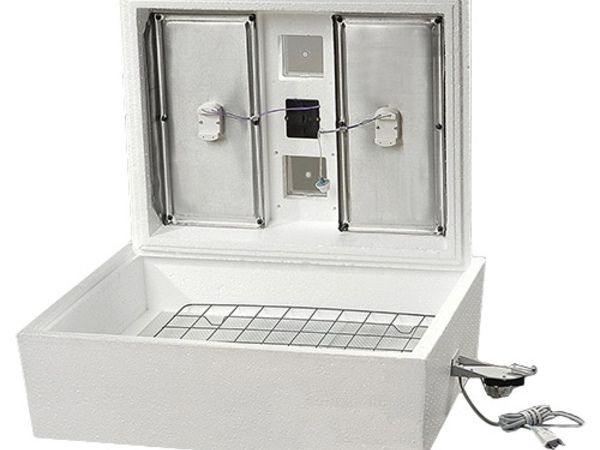 Готовь сани с лета, а инкубаторы для яиц осенью Готовь сани с лета, а инкубаторы для яиц осенью